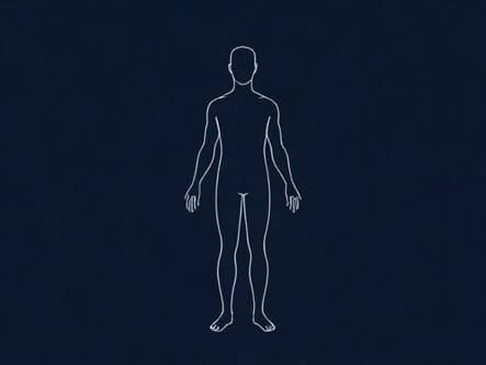 Your Body After Quitting Alcohol