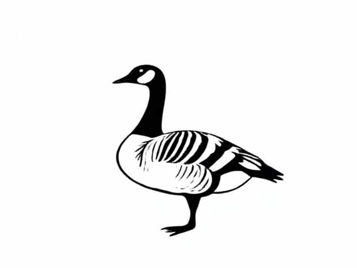 30 Years Of Constitutionalism