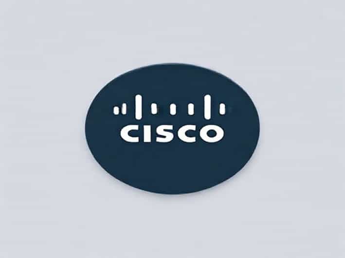 A Black Hairless Cat