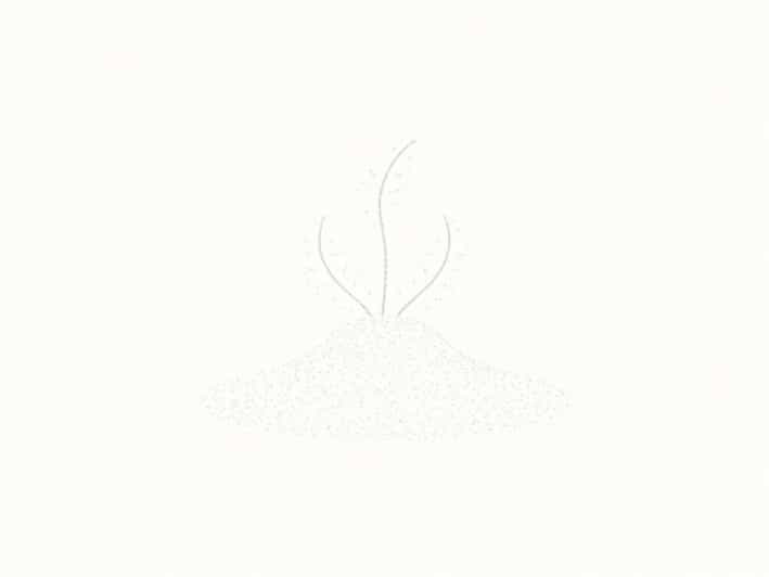 A Century Later Poem