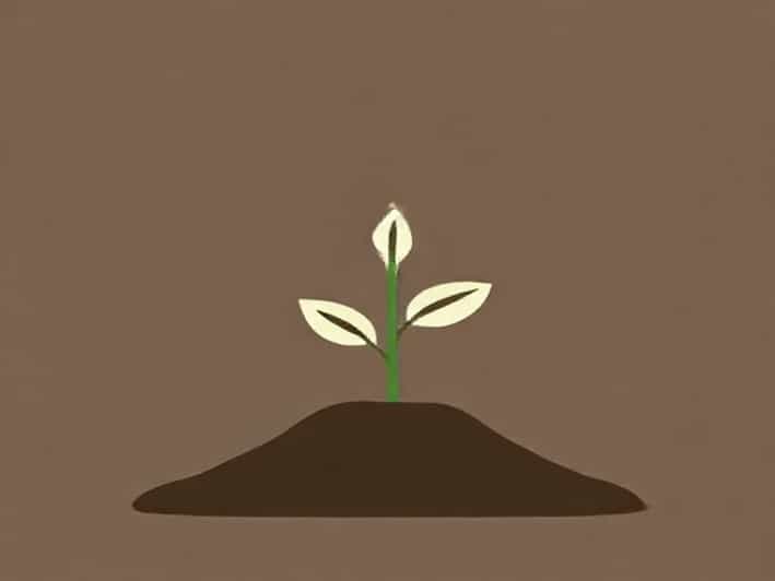 A Diverging Mirror Is