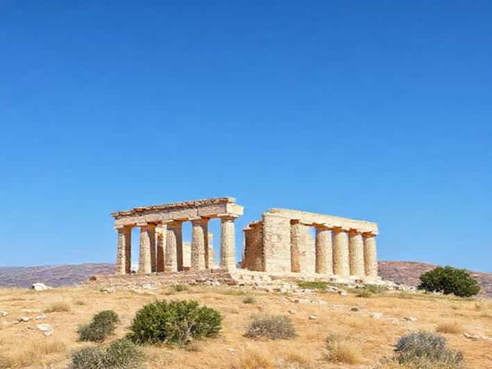 About Pomegranate In Hindi