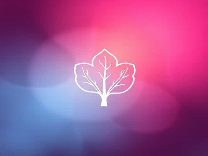 Adidas Spezial Rood Roze