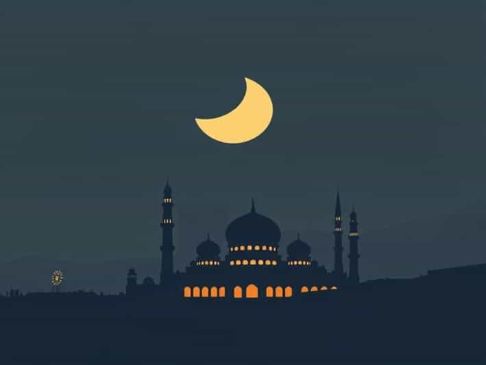 Alo Opulent Faux Fur