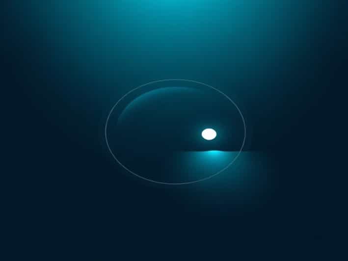 And Bring In Spanish