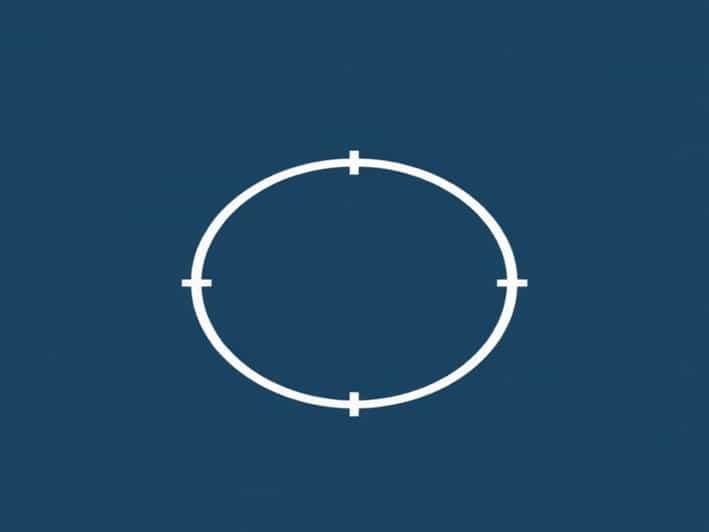 Animals That Represent Shyness