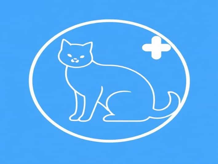 Anomalous Zeeman Effect Diagram