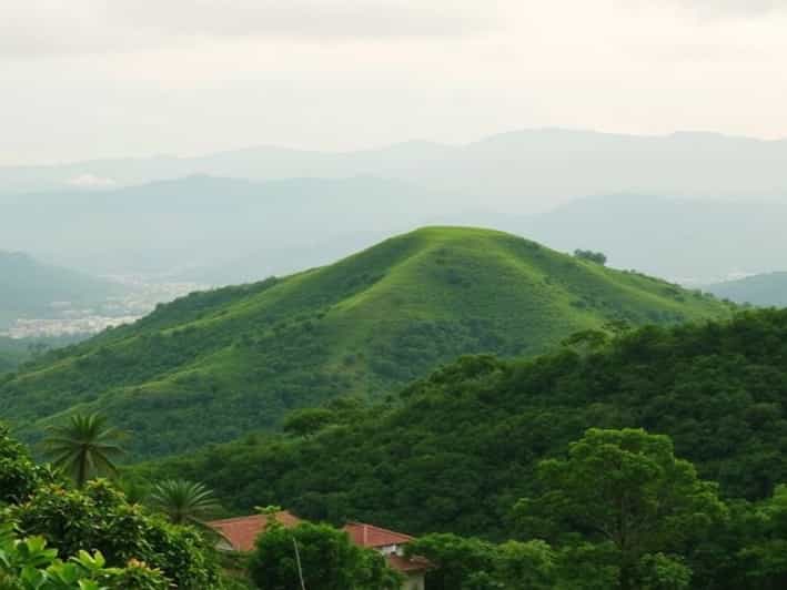 Another Word For Briskness