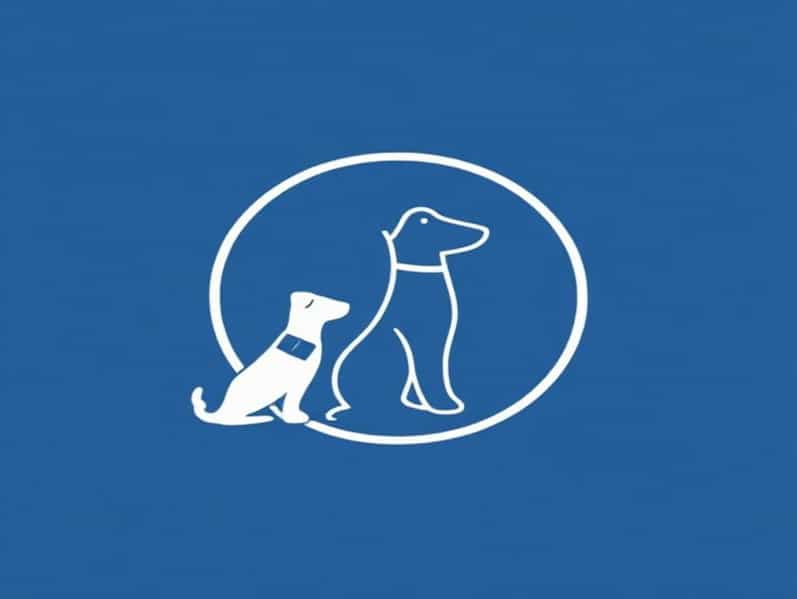 Are Service Dogs Trained