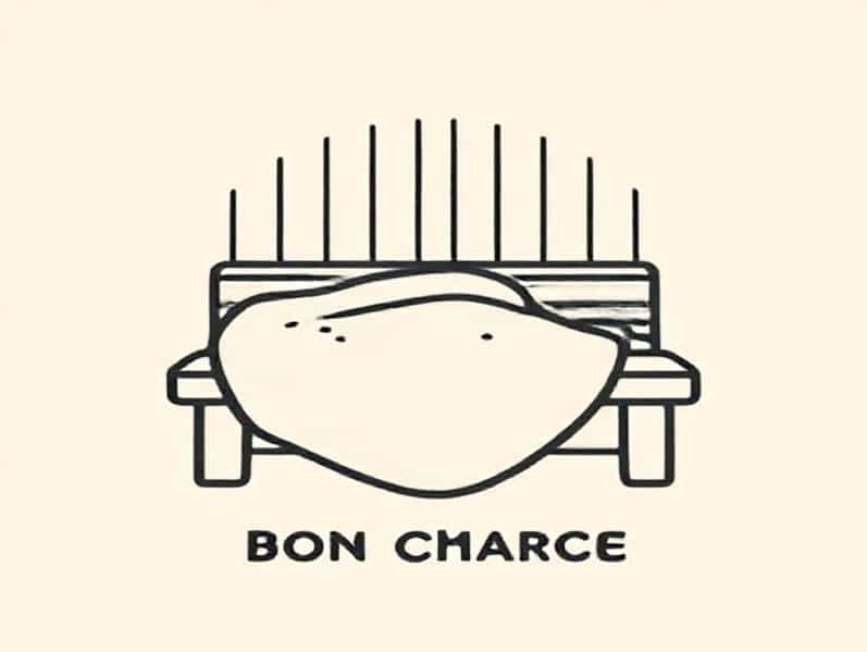Bon Charge Sauna Blanket