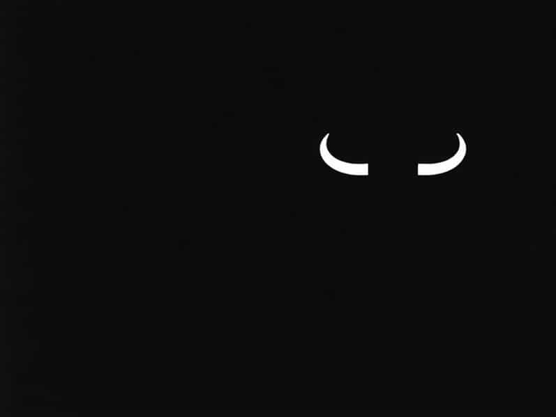 Bull City Press Chapbook