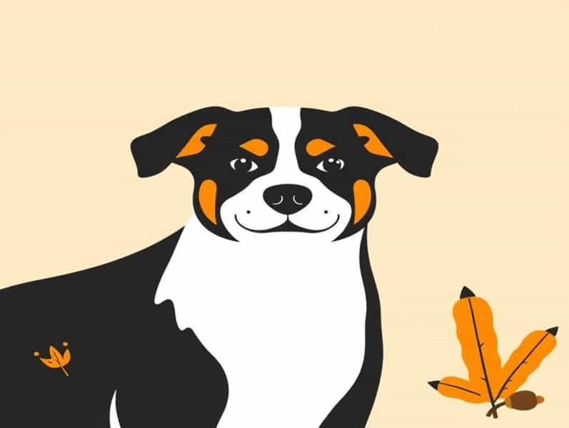 Can Dogs Have Turmeric