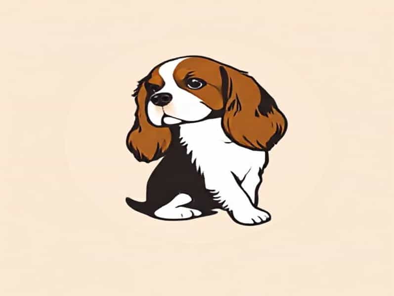 Cavalier King Charles Spaniel