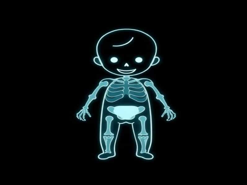 Child Immobilizer X Ray