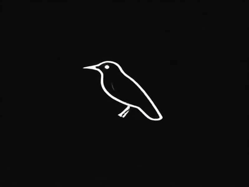 Crossword Clue Flightless Bird