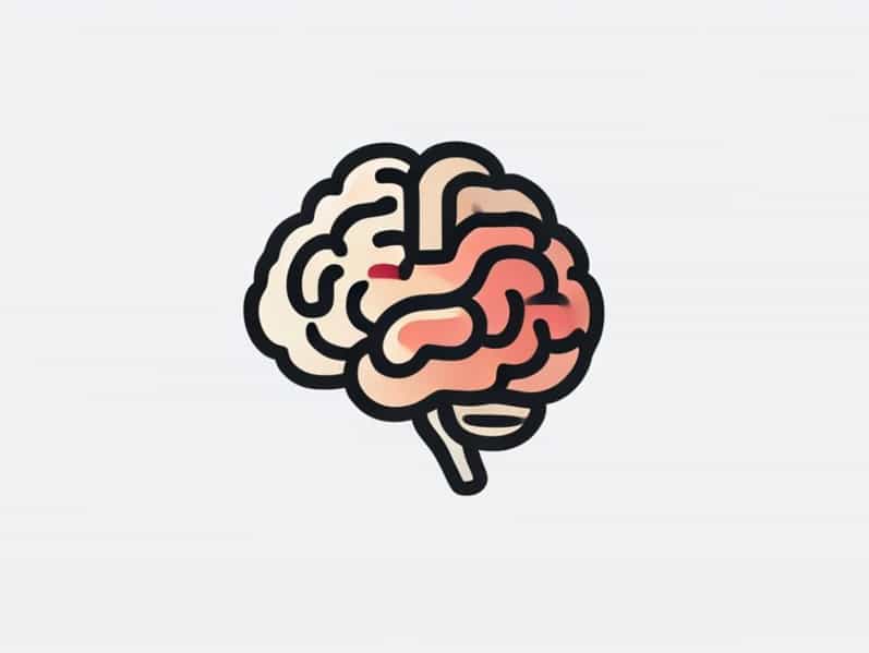 Dogen Boole Brain Location