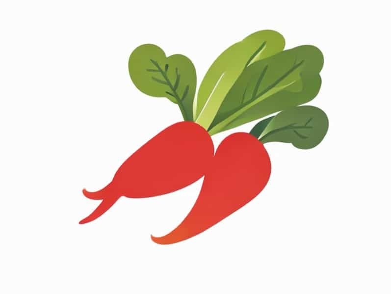 English Of Seem Vegetable