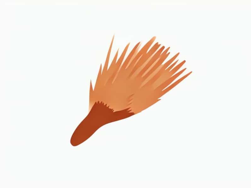 Gentle Boar Bristle Brush