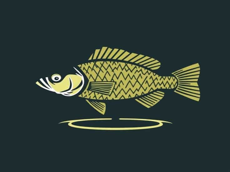 New Crappie Fishing Videos