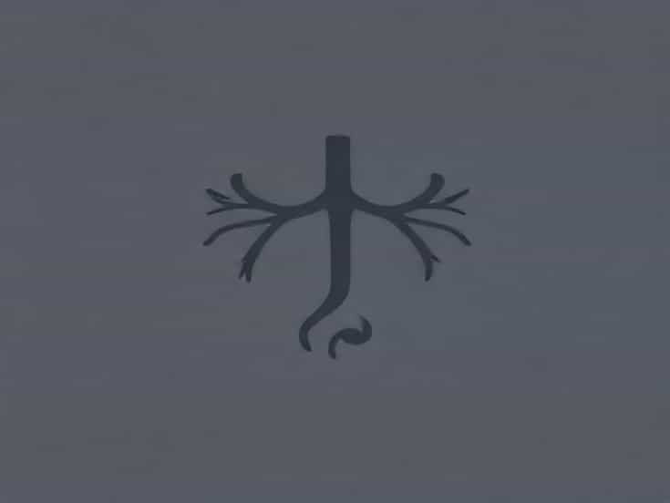 Nierenkrebs Metastasen Lunge Lebenserwartung