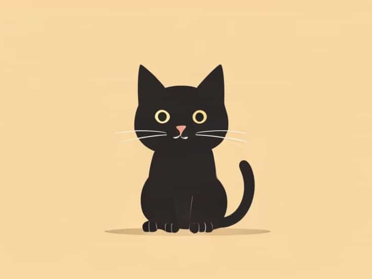 Ollie The Polite Cat