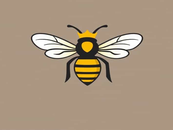 Queen Bee Spawn Item