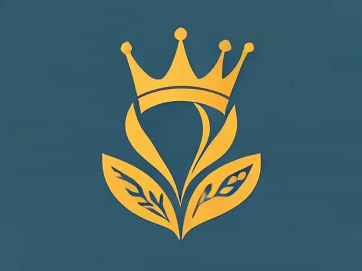 Queensland Combined Orthopaedic Specialists