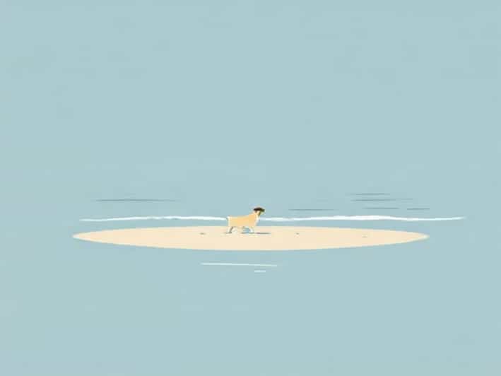 Quiet Waters Dog Beach