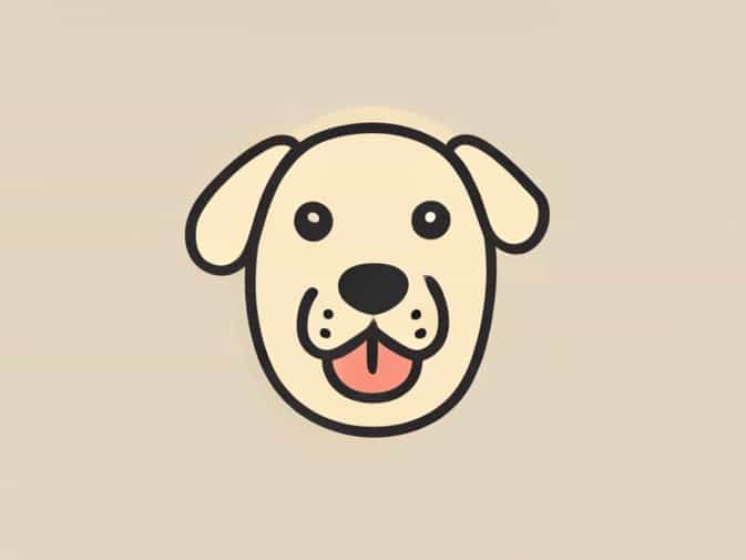 Boite De Mastication Chien