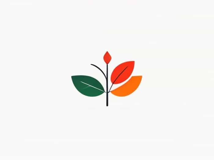 Common Good And Subsidiarity