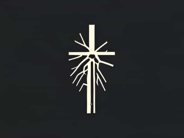 Crista Terminalis Embryological Origin