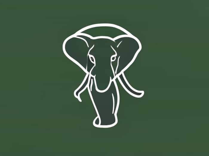 David Sheldrick Wildlife Trust