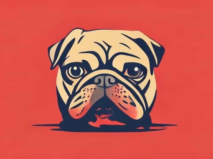 Fender Pugilist Distortion Review