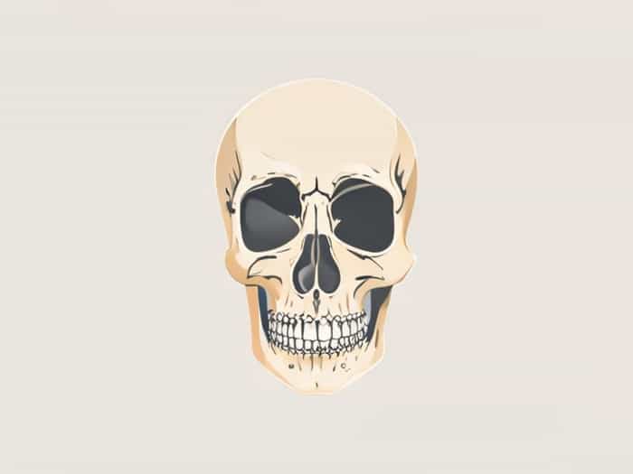 How Does Humerus Ossify