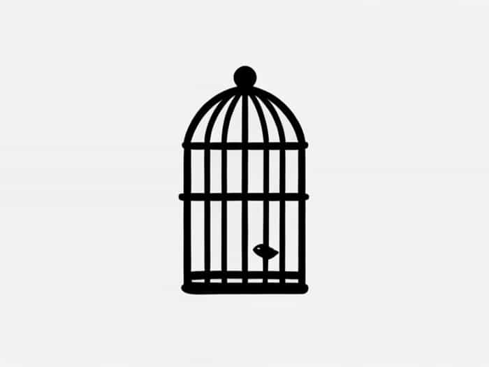 Is The Birdcage Offensive