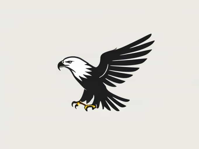 Klr Doohickey Eagle Mike