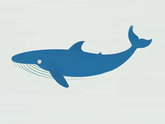 Length Of Blue Whale