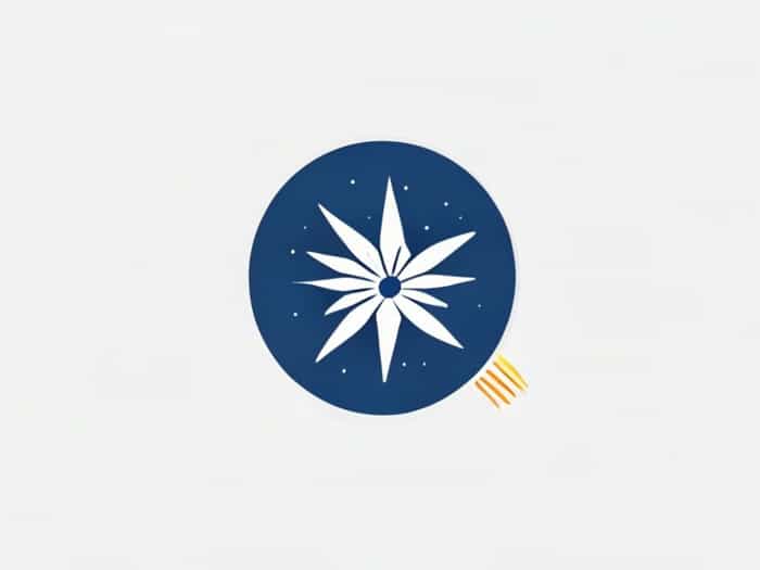 Live Score India Australia