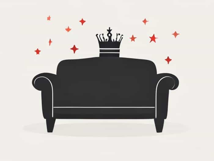 Queen Pull Out Couch