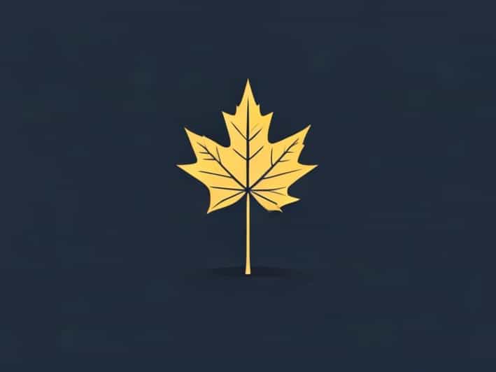 Shady Maple Midnight Gladness 2024