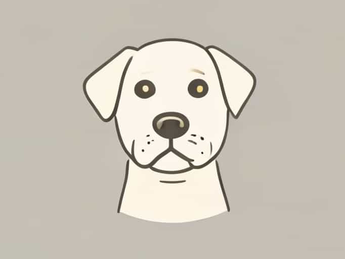 Yeast Prevention For Dogs