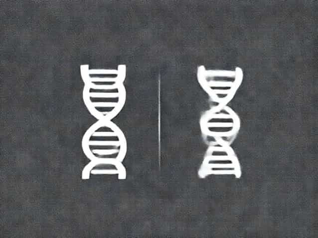 Both Dna And Rna Contain Uracil