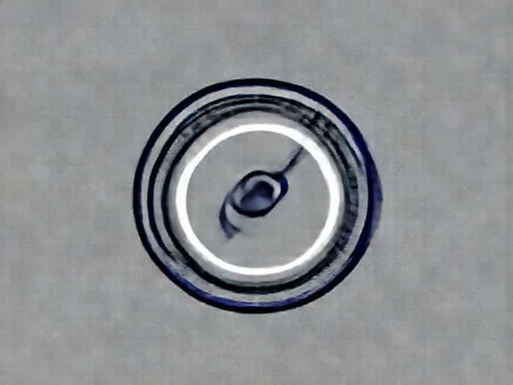 Cell Viability And Cytotoxicity