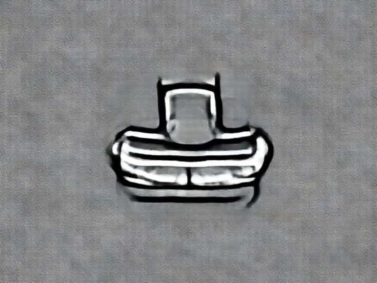 Does Articular Cartilage Ossify