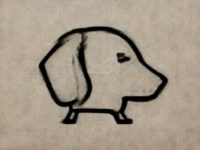 Ear Margin Seborrhea Dachshunds