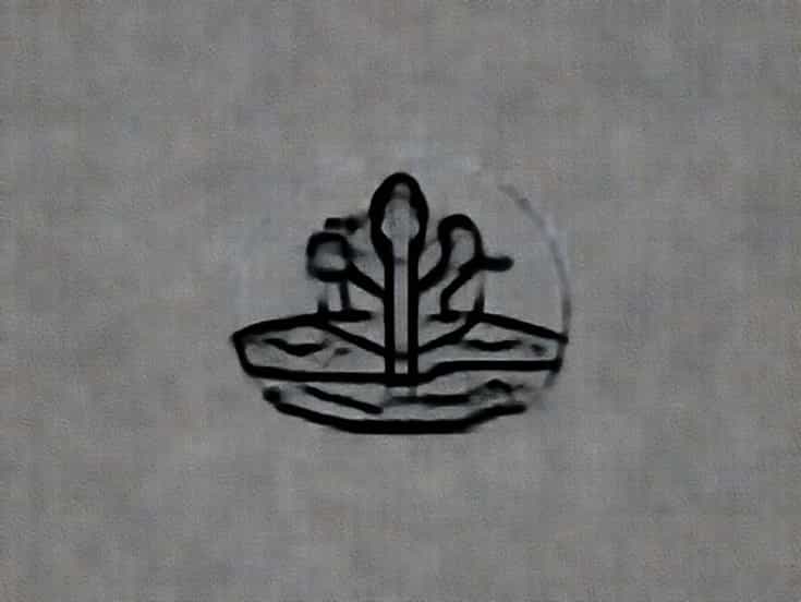 Example Of Cultivated Wasteland