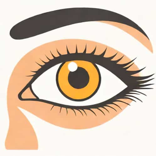 Eye Dilation Drops Side Effects