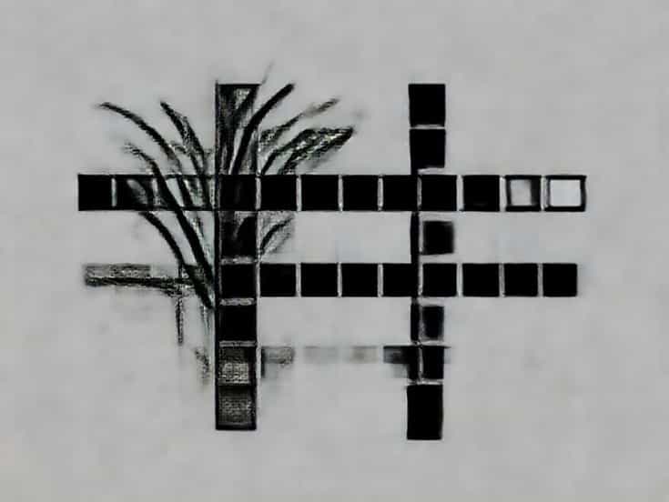 Haphazard Growth Crossword Clue