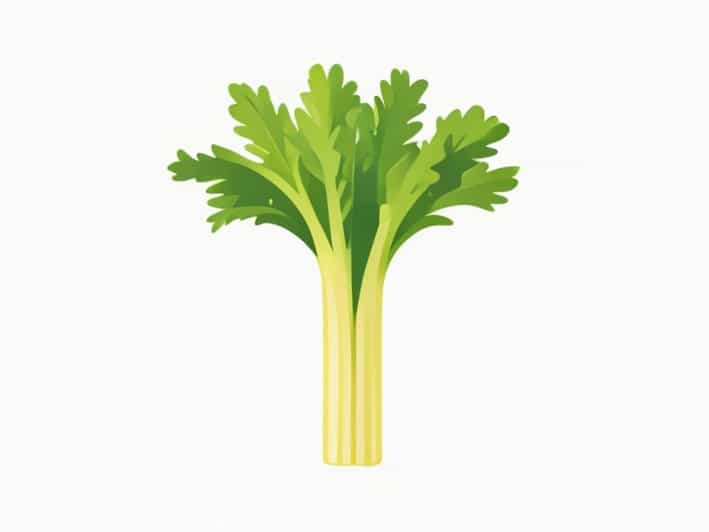 How Much Is One Stalk Of Celery