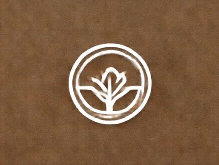 How To Pronounce Conservationist